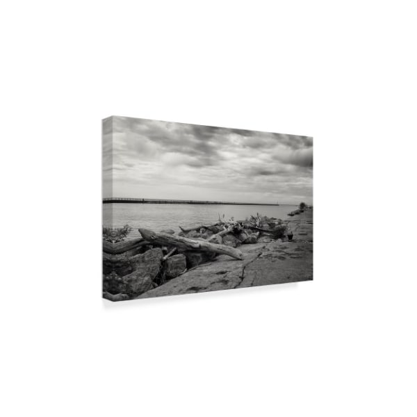 Anthony Paladino 'Cloudscape Over Pier With Driftwood' Canvas Art,12x19